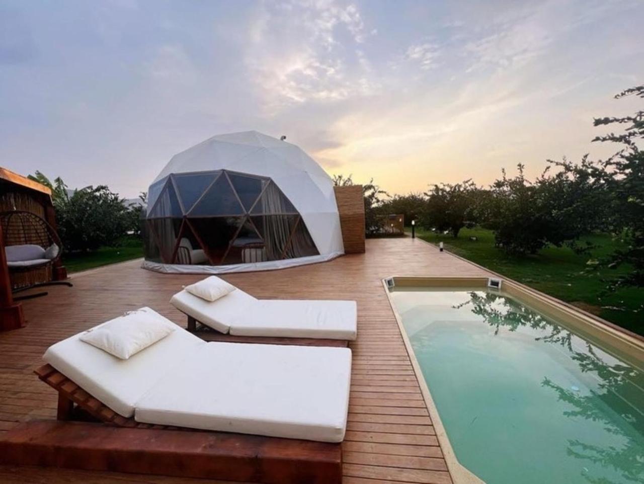 ホテル Mandalin Glamping セルチュク エクステリア 写真
