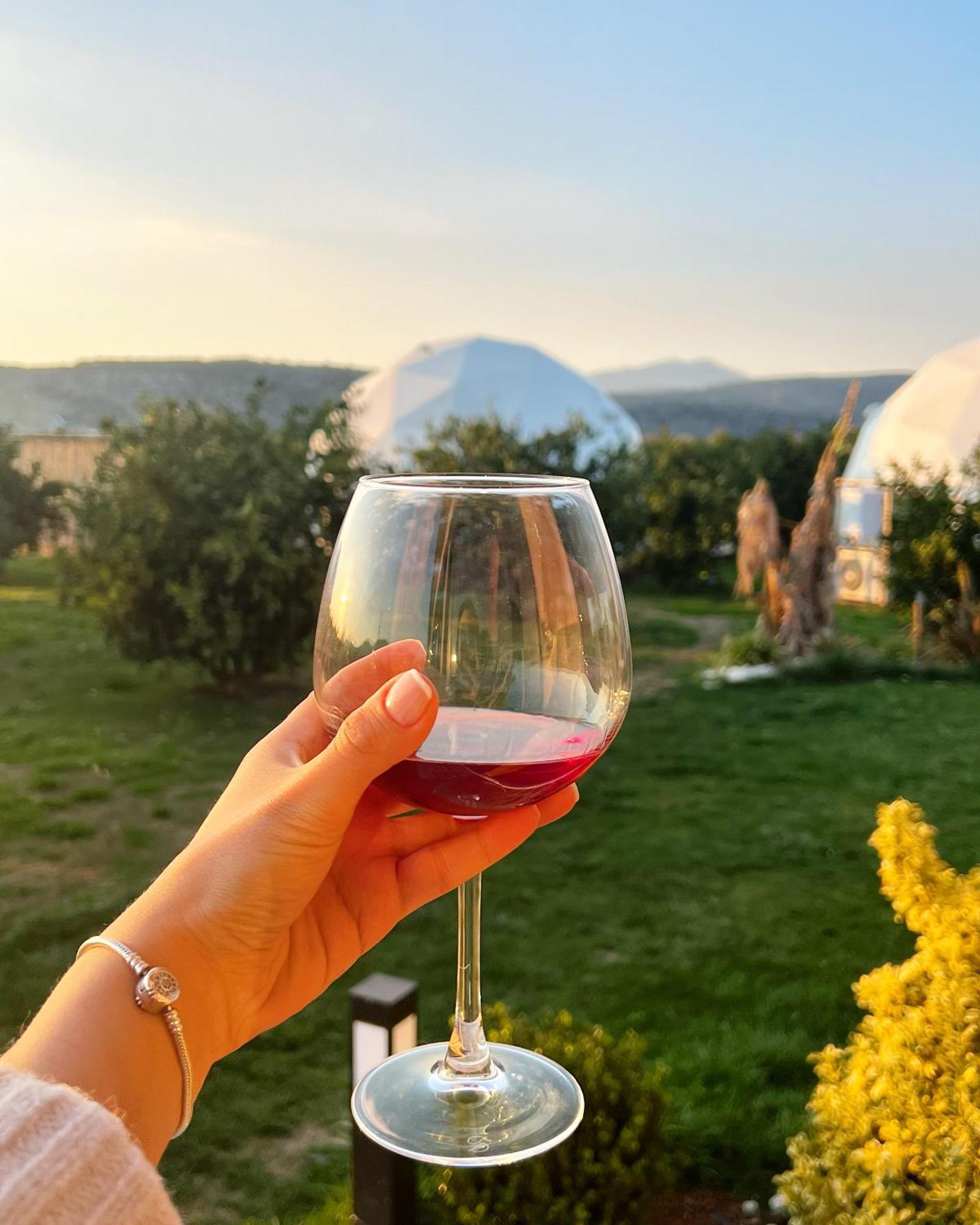 ホテル Mandalin Glamping セルチュク エクステリア 写真
